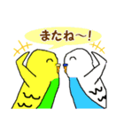 【のんびりおしゃべり】手書きインコ（個別スタンプ：4）