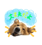 はにーすたんぷ (いつもそばにいるよ編)（個別スタンプ：3）