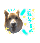 はにーすたんぷ (いつもそばにいるよ編)（個別スタンプ：6）