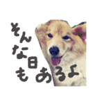 はにーすたんぷ (いつもそばにいるよ編)（個別スタンプ：8）
