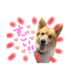 はにーすたんぷ (いつもそばにいるよ編)（個別スタンプ：11）