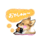 はにーすたんぷ (いつもそばにいるよ編)（個別スタンプ：14）