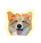 はにーすたんぷ (いつもそばにいるよ編)（個別スタンプ：17）