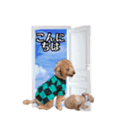 ほいほい君（個別スタンプ：10）