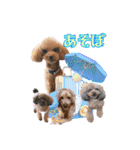 ほいほい君（個別スタンプ：11）