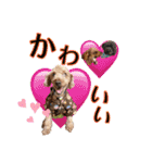 ほいほい君（個別スタンプ：18）