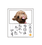 ほいほい君（個別スタンプ：22）