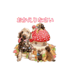 ほいほい君（個別スタンプ：23）