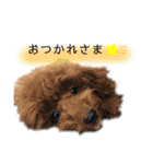 河井家ふぁみりー2★（個別スタンプ：2）