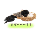 河井家ふぁみりー2★（個別スタンプ：6）