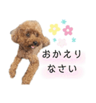 河井家ふぁみりー2★（個別スタンプ：7）