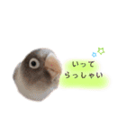 河井家ふぁみりー2★（個別スタンプ：8）