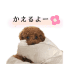 河井家ふぁみりー2★（個別スタンプ：12）