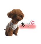 河井家ふぁみりー2★（個別スタンプ：14）