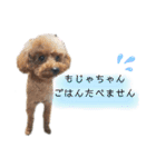 河井家ふぁみりー2★（個別スタンプ：16）