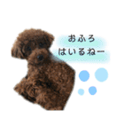 河井家ふぁみりー2★（個別スタンプ：20）