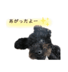 河井家ふぁみりー2★（個別スタンプ：23）