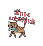 猫のモル（個別スタンプ：7）