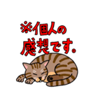 猫のモル（個別スタンプ：8）