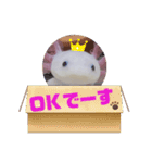 ウーパーもちこと一緒 6（個別スタンプ：3）