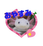 ウーパーもちこと一緒 6（個別スタンプ：13）