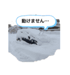 てしスタンプ最終（個別スタンプ：26）