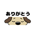 犬のじょんこ顔文字風      ～日常～ 夏（個別スタンプ：6）