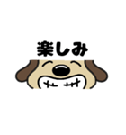 犬のじょんこ顔文字風      ～日常～ 夏（個別スタンプ：9）