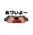 犬のじょんこ顔文字風      ～日常～ 夏（個別スタンプ：15）