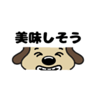 犬のじょんこ顔文字風      ～日常～ 夏（個別スタンプ：24）