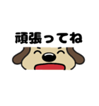 犬のじょんこ顔文字風      ～日常～ 夏（個別スタンプ：28）