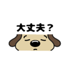 犬のじょんこ顔文字風      ～日常～ 夏（個別スタンプ：31）