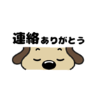 犬のじょんこ顔文字風      ～日常～ 夏（個別スタンプ：34）