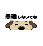 犬のじょんこ顔文字風      ～日常～ 夏（個別スタンプ：35）