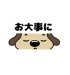 犬のじょんこ顔文字風      ～日常～ 夏（個別スタンプ：36）