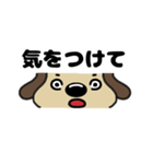 犬のじょんこ顔文字風      ～日常～ 夏（個別スタンプ：37）