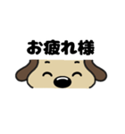 犬のじょんこ顔文字風      ～日常～ 夏（個別スタンプ：38）