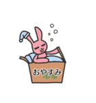 箱住みうさぎのスタンプ（個別スタンプ：2）