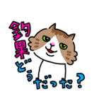 釣りがしたい猫のスタンプ（個別スタンプ：6）