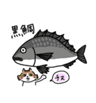 釣りがしたい猫のスタンプ（個別スタンプ：13）