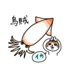 釣りがしたい猫のスタンプ（個別スタンプ：25）