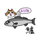 釣りがしたい猫のスタンプ（個別スタンプ：27）
