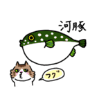 釣りがしたい猫のスタンプ（個別スタンプ：34）