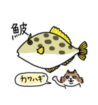 釣りがしたい猫のスタンプ（個別スタンプ：35）