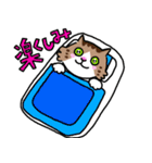 釣りがしたい猫のスタンプ（個別スタンプ：39）