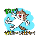 釣りがしたい猫のスタンプ（個別スタンプ：40）