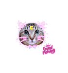 cat's original stamp 16 version（個別スタンプ：7）