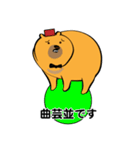 【敬語】クマり顔くま（個別スタンプ：34）