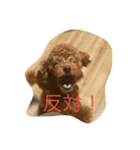 トイプードル リズム♀＆ジャム♂（個別スタンプ：18）