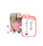 テキトーオーカー 目は口ほどに物を言vol.3（個別スタンプ：16）